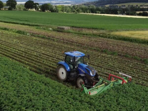 Blue Tractor out on a field harvesting potatoes